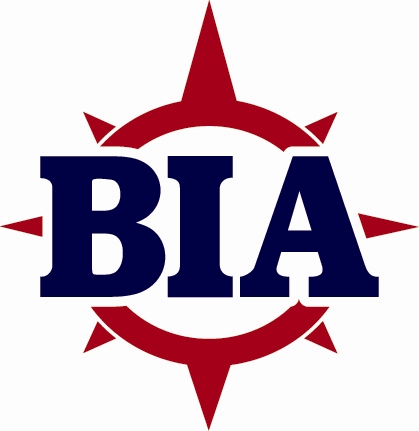Bravo Insurance Agency compass rose logo